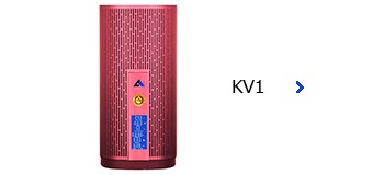 KV1